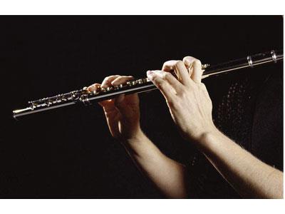 招聘汕尾长笛家教老师