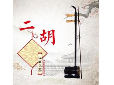 招聘汕尾二胡家教老师